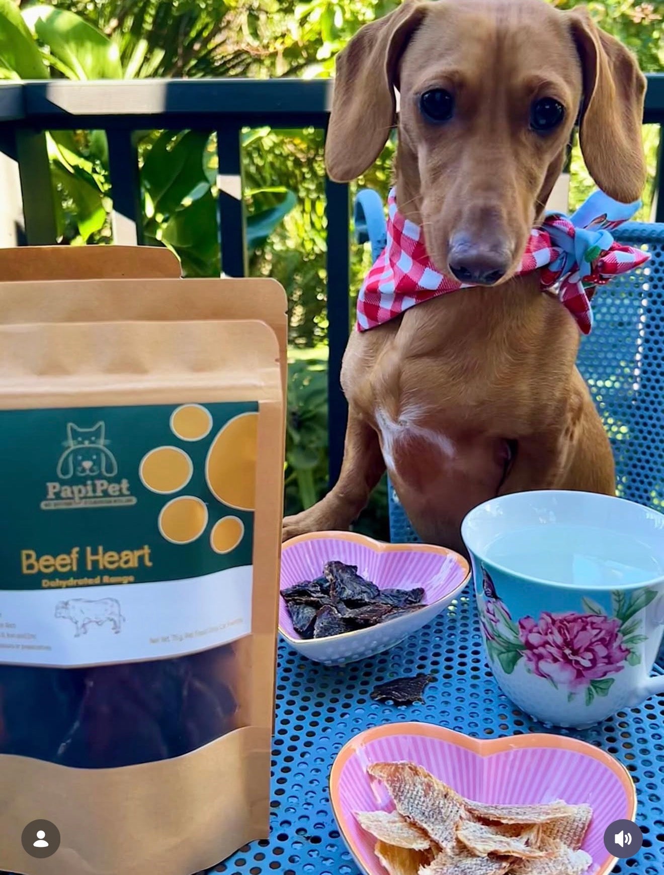 Beef Heart Treats