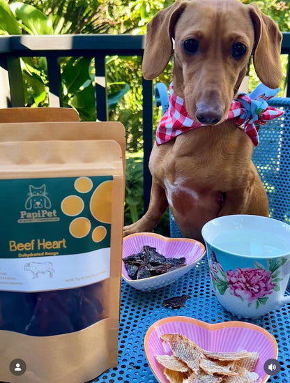 Beef Heart Treats